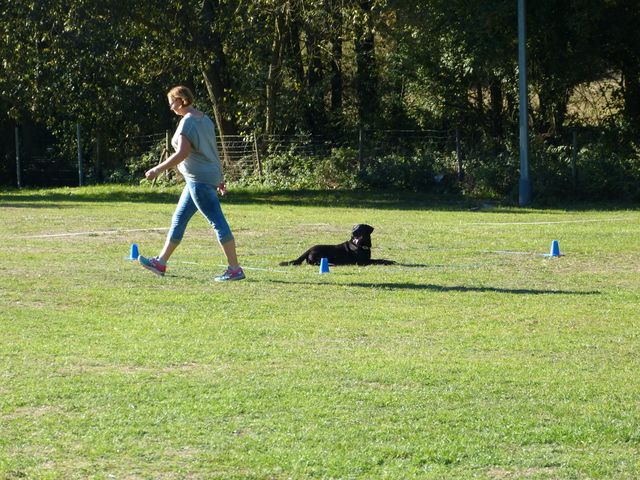 Obi-pruefung-herbst 2018