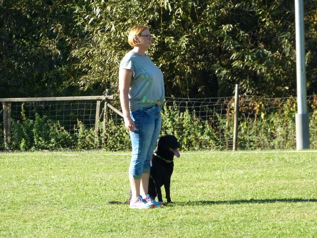 Obi-pruefung-herbst 2018