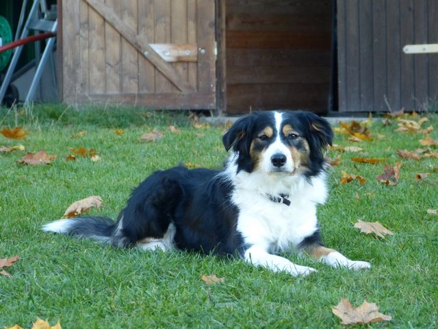 Obi-pruefung-herbst 2018