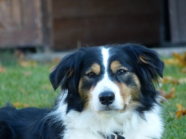 Obi-pruefung-herbst 2018