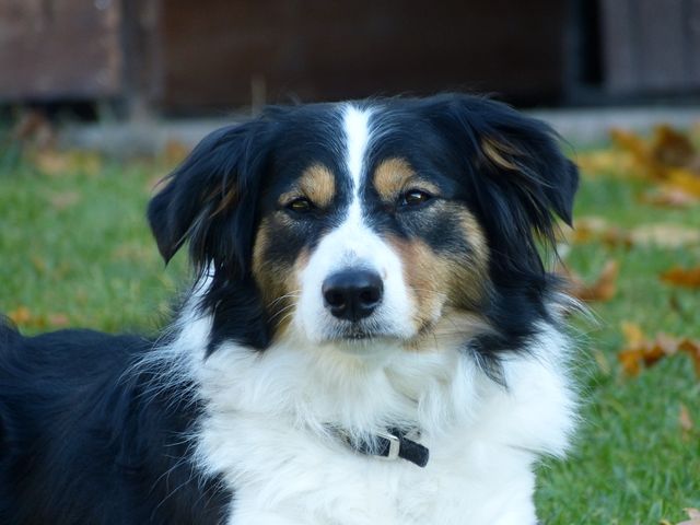 Obi-pruefung-herbst 2018