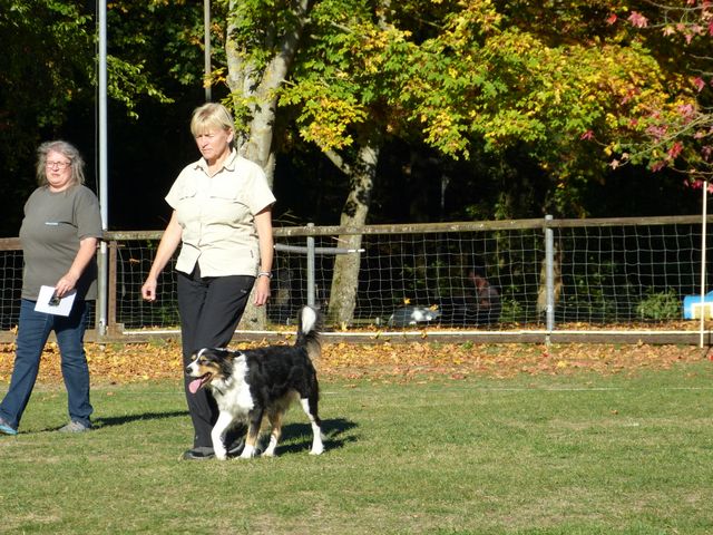 Obi-pruefung-herbst 2018