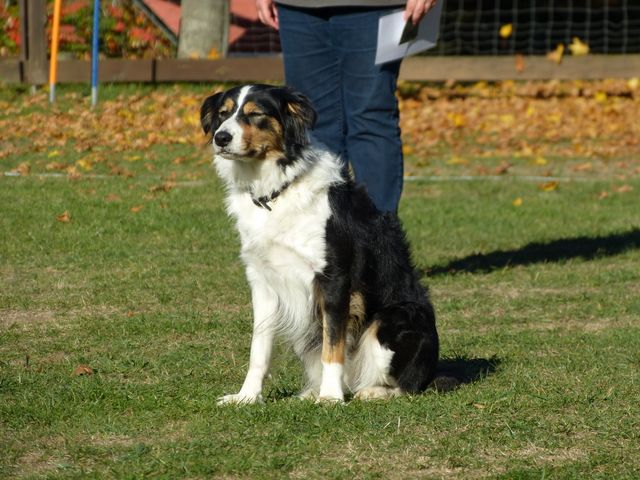 Obi-pruefung-herbst 2018