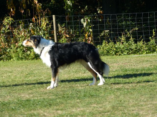 Obi-pruefung-herbst 2018
