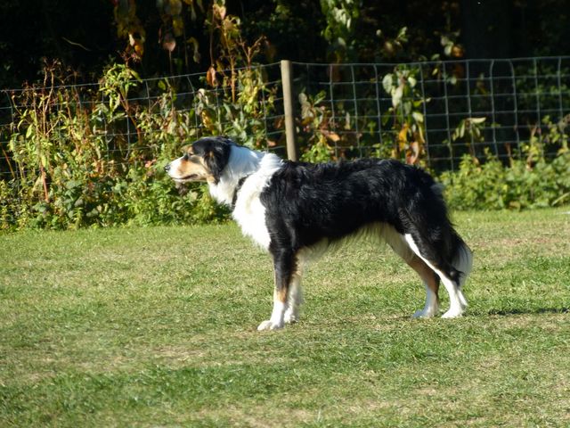 Obi-pruefung-herbst 2018