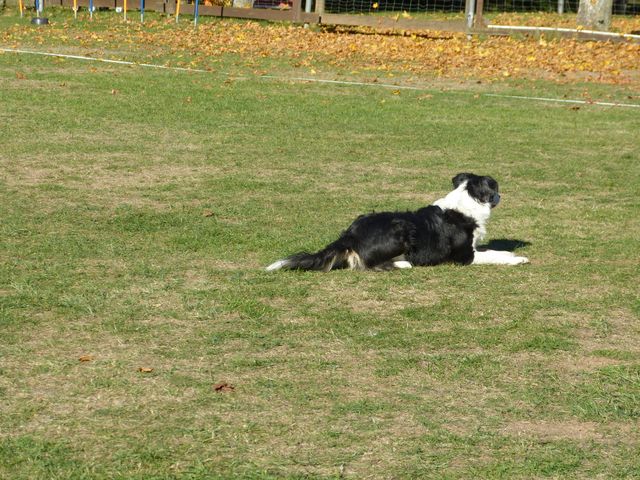 Obi-pruefung-herbst 2018