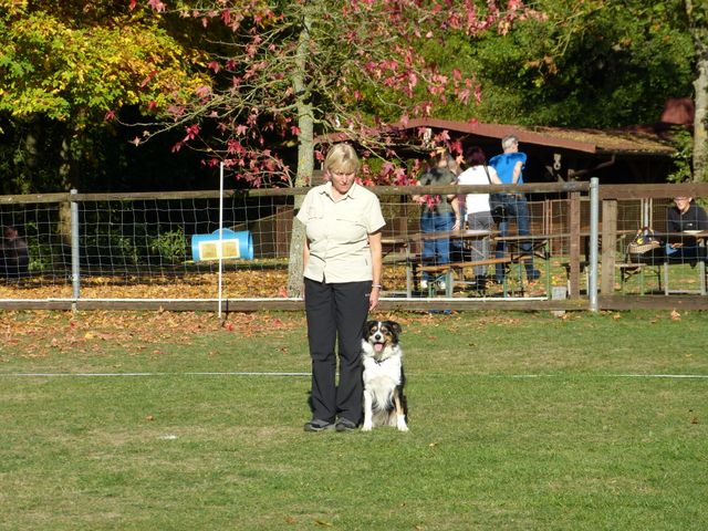 Obi-pruefung-herbst 2018