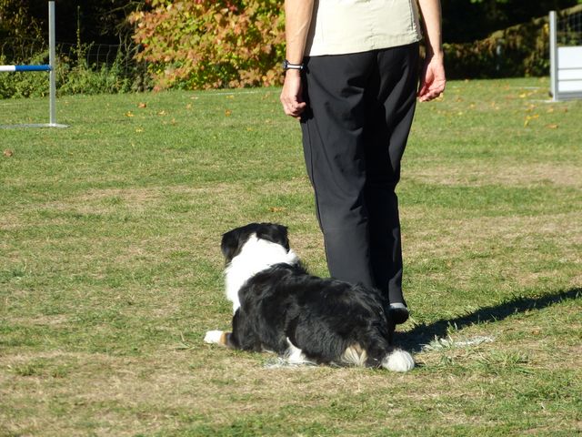 Obi-pruefung-herbst 2018