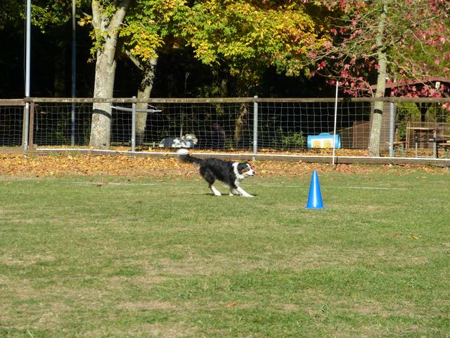Obi-pruefung-herbst 2018