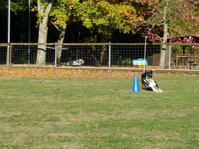 Obi-pruefung-herbst 2018