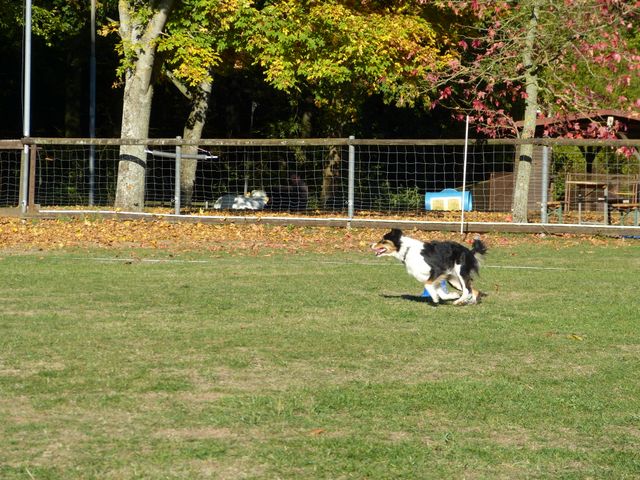 Obi-pruefung-herbst 2018