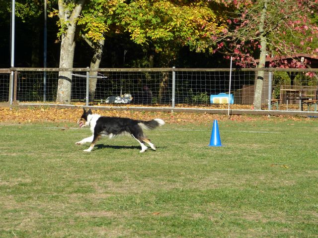 Obi-pruefung-herbst 2018