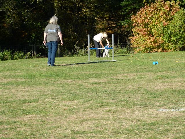 Obi-pruefung-herbst 2018