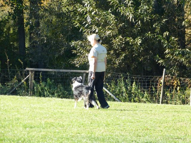 Obi-pruefung-herbst 2018
