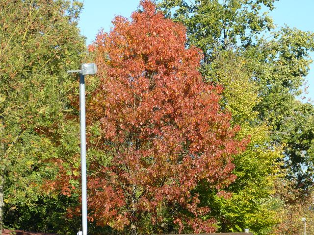Obi-pruefung-herbst 2018