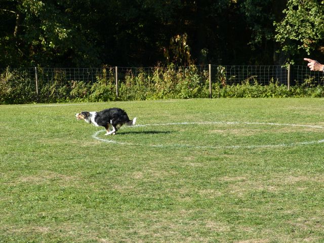 Obi-pruefung-herbst 2018