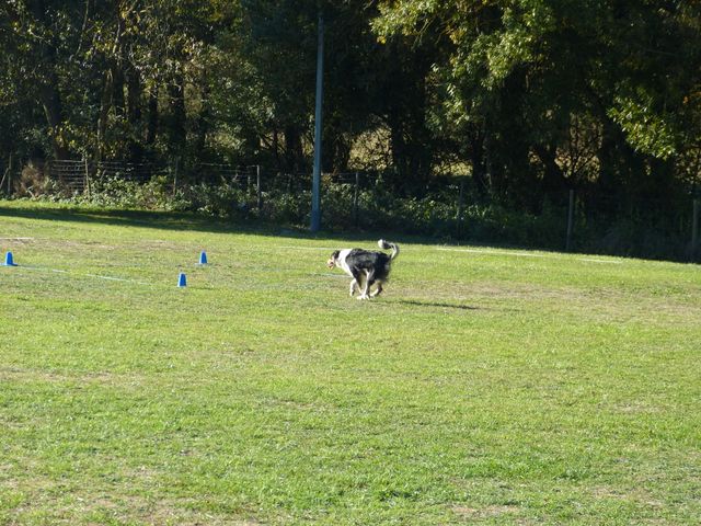 Obi-pruefung-herbst 2018