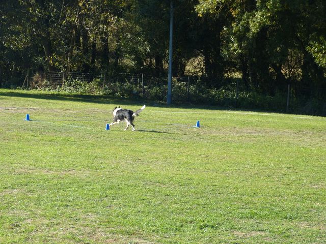 Obi-pruefung-herbst 2018