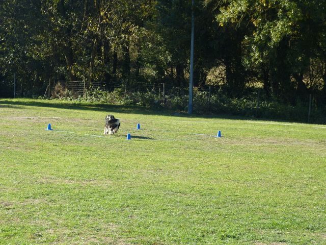 Obi-pruefung-herbst 2018