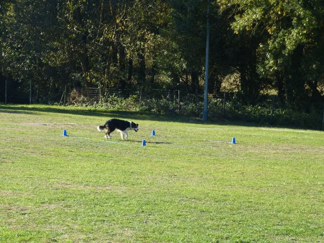 Obi-pruefung-herbst 2018