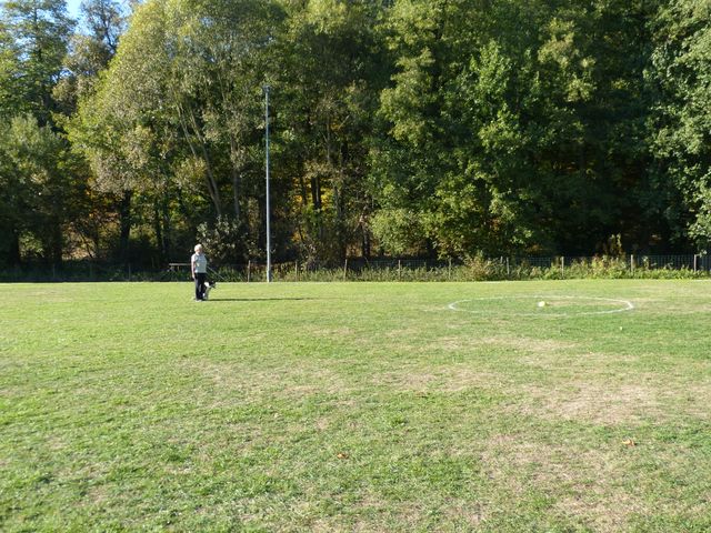 Obi-pruefung-herbst 2018