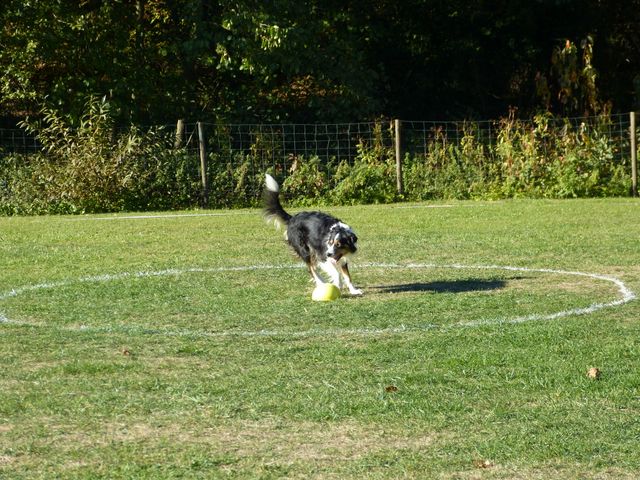 Obi-pruefung-herbst 2018