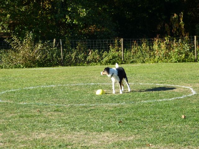 Obi-pruefung-herbst 2018