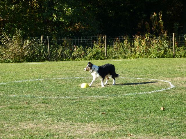 Obi-pruefung-herbst 2018