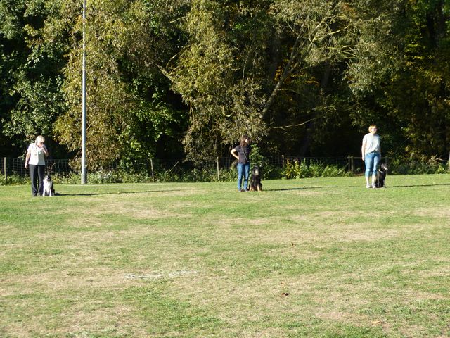 Obi-pruefung-herbst 2018