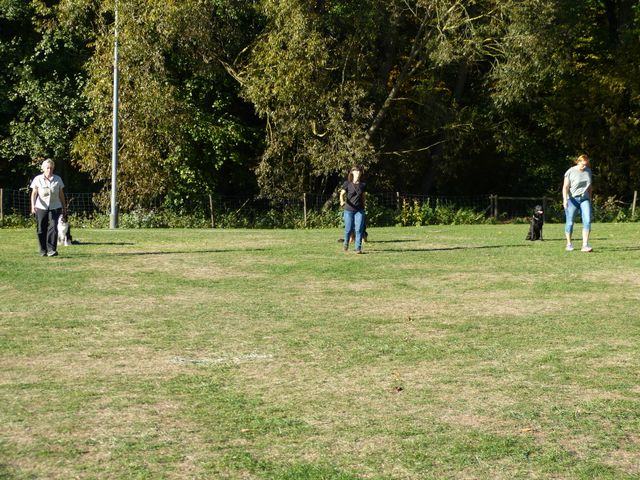 Obi-pruefung-herbst 2018