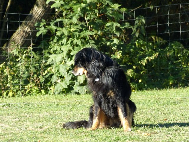 Obi-pruefung-herbst 2018
