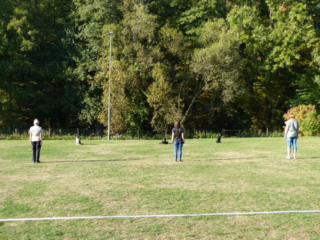 Obi-pruefung-herbst 2018