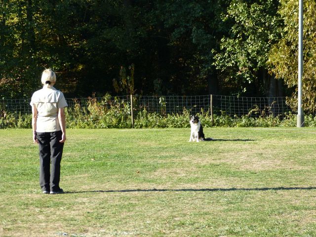 Obi-pruefung-herbst 2018