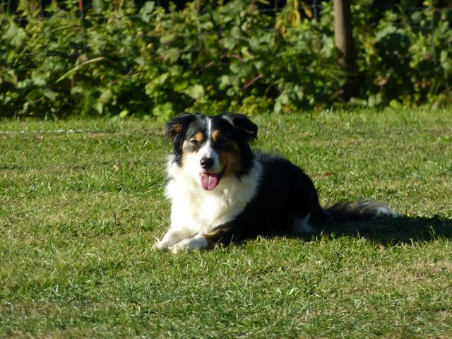 Obi-pruefung-herbst 2018