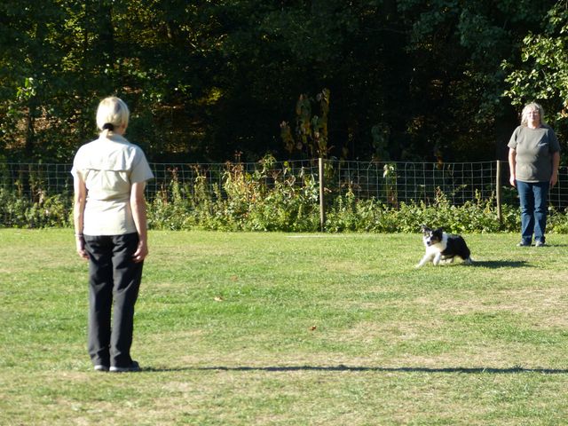 Obi-pruefung-herbst 2018