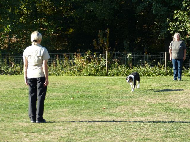 Obi-pruefung-herbst 2018