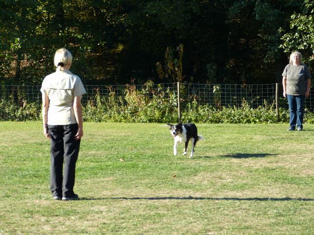 Obi-pruefung-herbst 2018