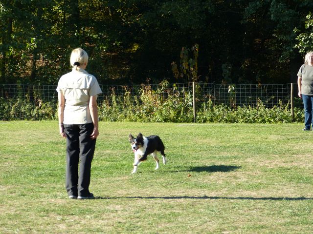 Obi-pruefung-herbst 2018