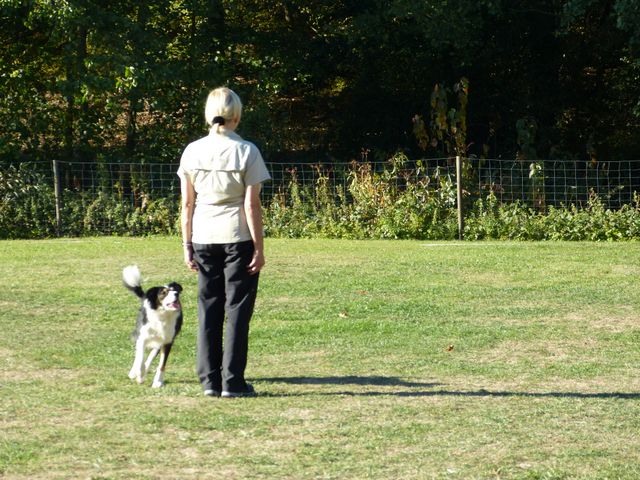 Obi-pruefung-herbst 2018
