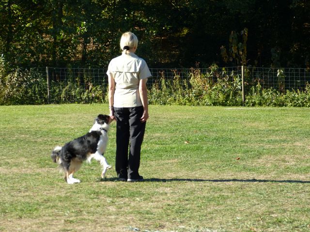 Obi-pruefung-herbst 2018