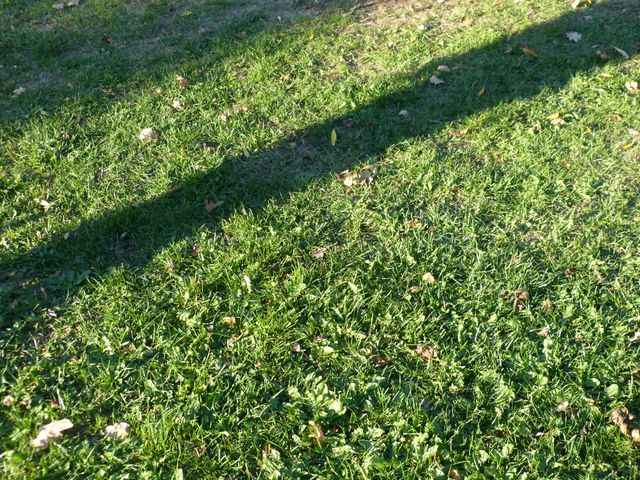 Obi-pruefung-herbst 2018