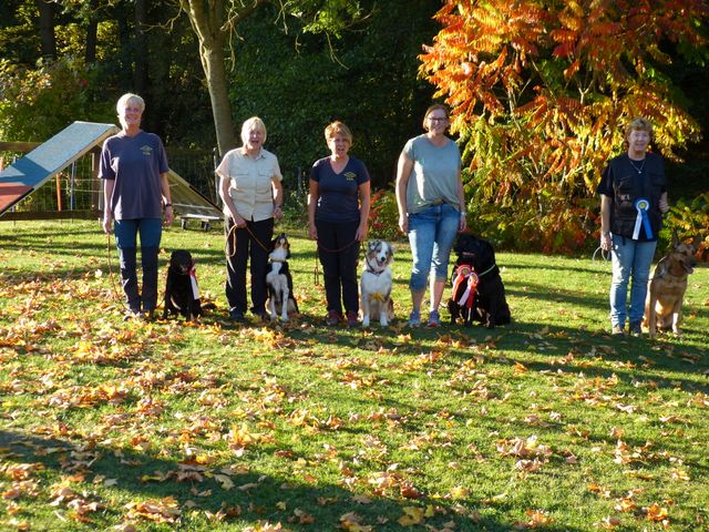 Obi-pruefung-herbst 2018