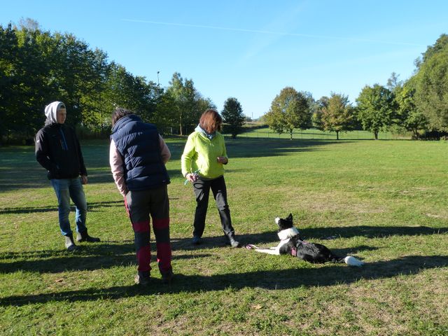 Obi-Seminar-Hahn 2018