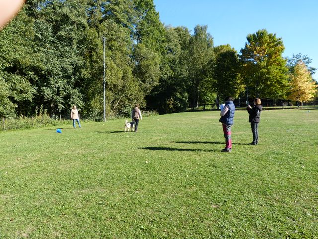Obi-Seminar-Hahn 2018
