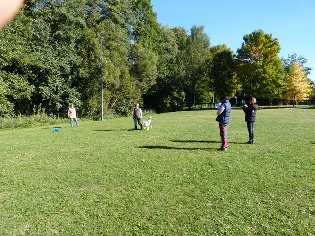 Obi-Seminar-Hahn 2018