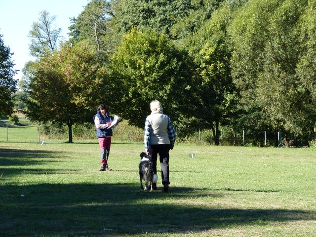 Obi-Seminar-Hahn 2018