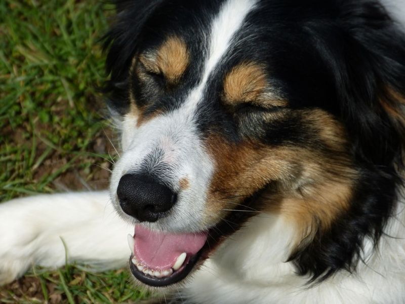 Obi-Seminar-Wenzel 2018
