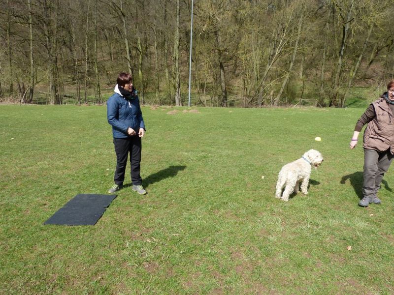 Obi-Seminar-Wenzel 2018
