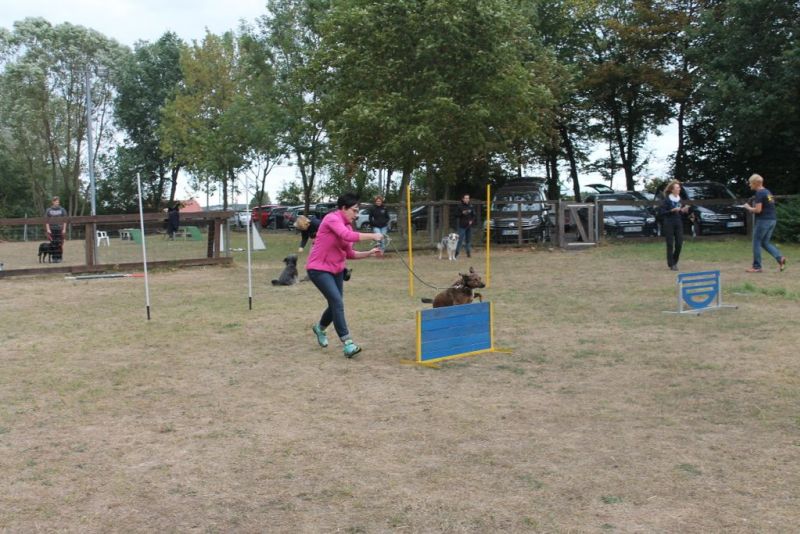 2018-Sommerfest
