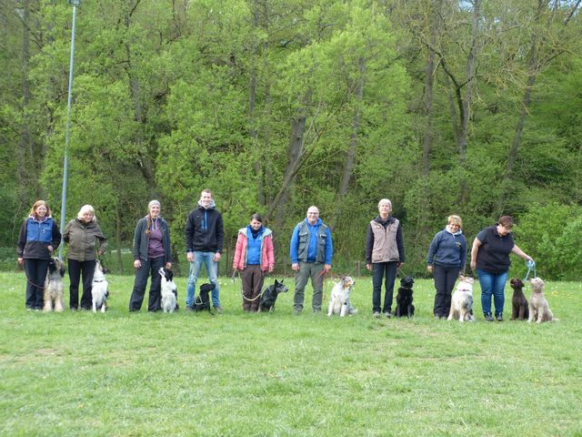 Obi Seminar Hampe 2019